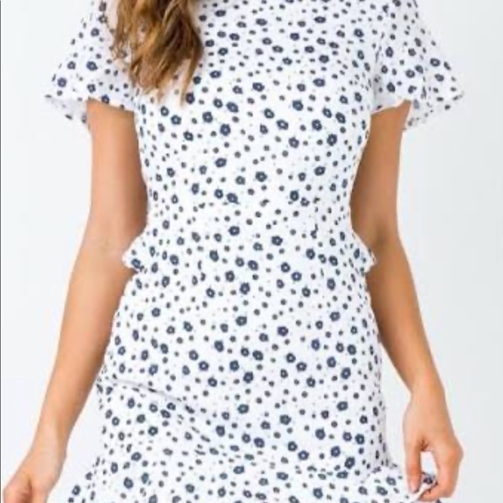 Princess poly floral mini dress